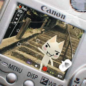 亮片(cover驼儿）