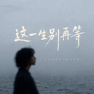这一生别再等 (伴奏)