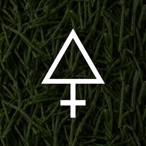 F.O.E. (feat. Gian Marco Castro & Andrea Sciacca)