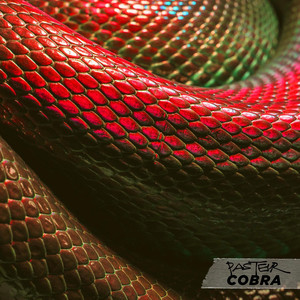 Cobra