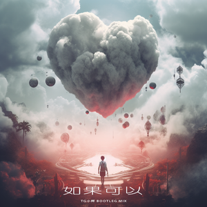 韦礼安-如果可以.（TG小辉 remix）