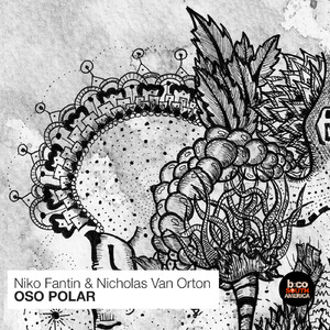 Oso Polar