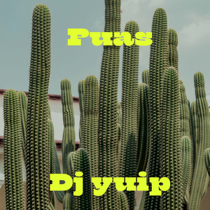 Puas