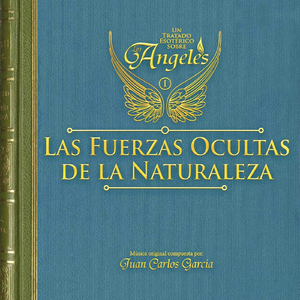 El Proceso Angélico de Estructuración de las Formas
