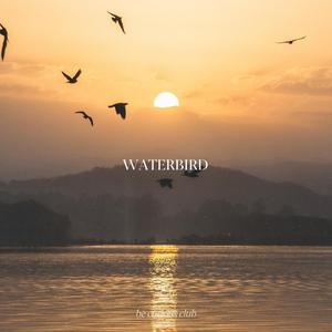 waterbird