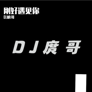 刚好遇见你(Dudstep)- remix