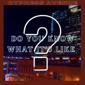 Do You Know What It's Like?