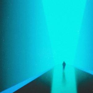 Zomboy-Follow -（Drugmaker bootleg）（DURG MAKER / Zomboy / Bro Safari remix）