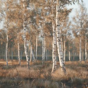 Мы теперь уходим понемногу