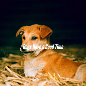 Spectacular Loafing Pup Hour