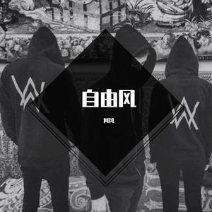 筷子兄弟-老男孩剪辑版（阿风 remix）