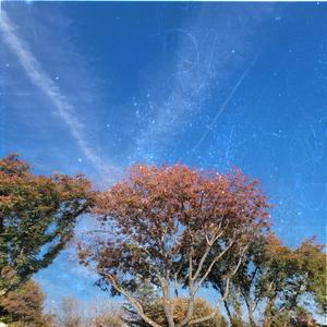 The Things We Once Took for Granted Are No More (Extinction Song)