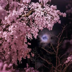 Lambo (feat. Zayondat)