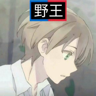 野王专用BGM