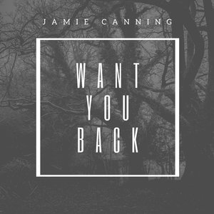 Want You Back