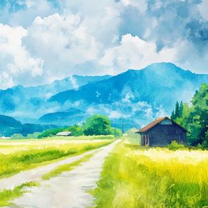 Petal Shower (花びらの雨)