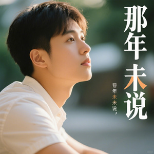 那年未说