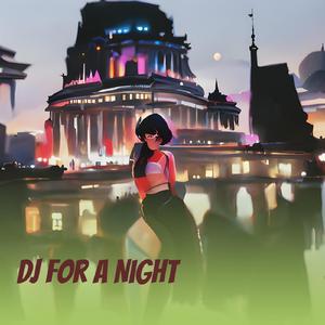 Dj for a Night