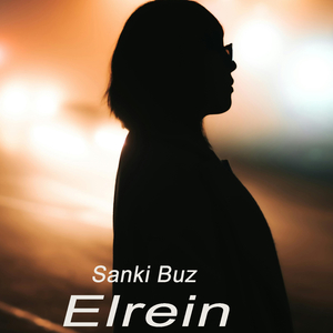 Sanki Buz