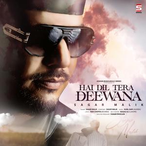 HAI DIL TERA DEEWANA