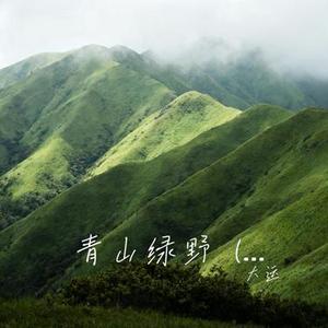 青山绿野  (吉他版) (Cover 渡边雅二)