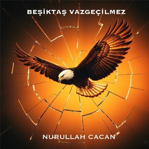 Beşiktaş Vazgeçilmez