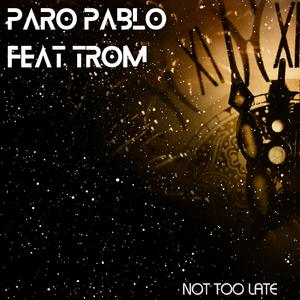 Not Too Late (feat. Trom)
