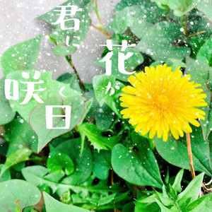 君に花が咲く日