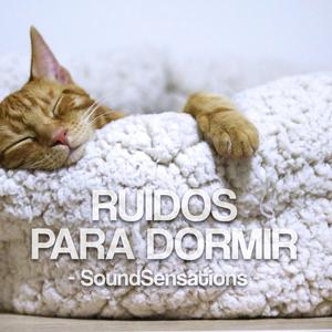 Ruidos Para Dormir