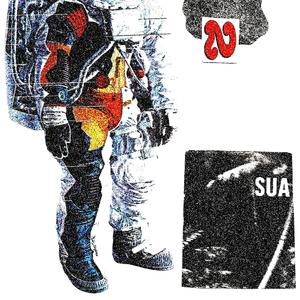 Ensaio (feat. Janvi)