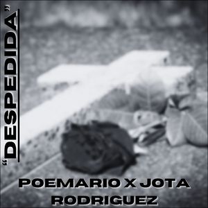 Despedida