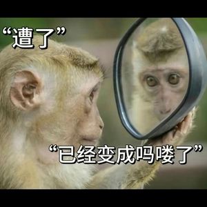 吗喽【各唱各沉迷甩大逼兜版】