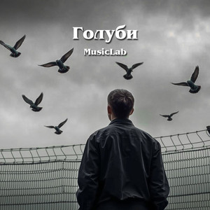 Голуби