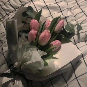 7%（完整女生版）（翻自 XMASwu）