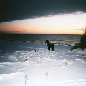 把今天过得滚烫