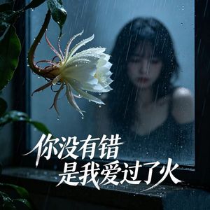 你没有错是我爱过了火