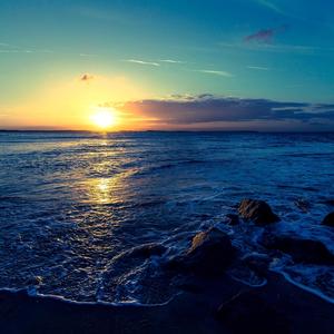 verbetes