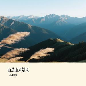 山是山风是风（Cover 王一佳）