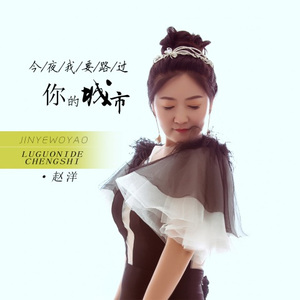 今夜我要路过你的城市