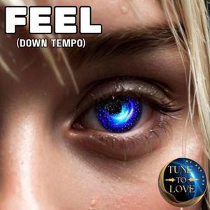 Feel (DownTempo)
