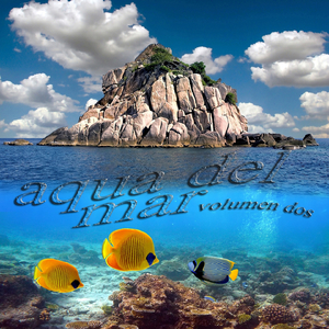 Don't Forget the Son