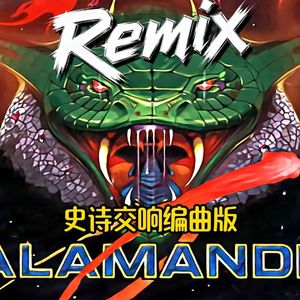 沙罗曼蛇.关卡3-Planet Ratis（回声电台 remix）