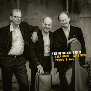 Piano Trio No. 1 in B Major, Op. 8 (2nd Version 1889):IV. Finale. Allegro