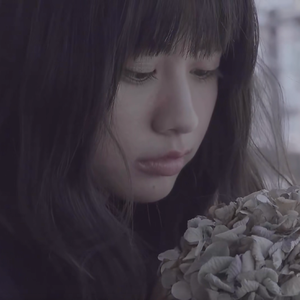 ドライフラワー（干燥花）