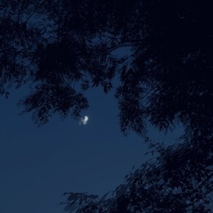 晚风过境