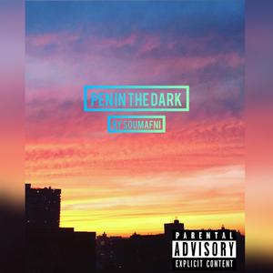 Pen In The Dark