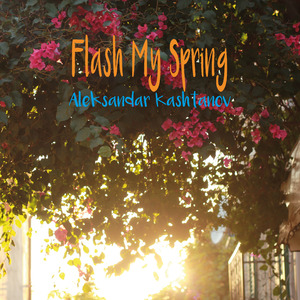 Flash My Spring