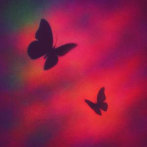 could we be for real