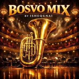 Bosvo Mixxx