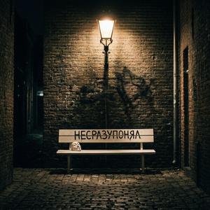 НЕСРАЗУПОНЯЛ